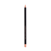 LIP LINER (DELINEADOR PARA LABIOS)